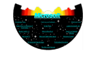 microsoft_1994.png