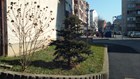 DSC_0019.JPG