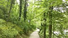 IMAG0020.jpg