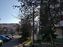 oneplus-3_image-kamera_sample(6).jpg