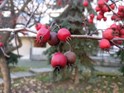 oneplus-3_image-kamera_sample(7).jpg