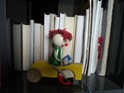20121126_083027.jpg