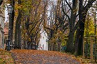 DSC00389.jpg