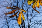 DSC03701.jpg