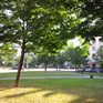 IMG_00000001.jpg