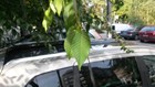 20130926_031850.jpg