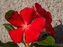olympus_om-d_e-m1_test_32.jpg