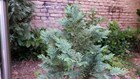 20130926_032128.jpg