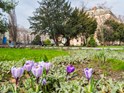 olympus_om-d_e-m10_samples_03.jpg
