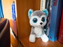 olympus_om-d_e-m10_samples_06.jpg