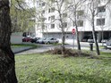 DSC_0012.JPG