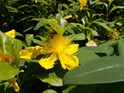 nikon_coolpix_l29_samples_16.jpg
