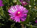 nikon_coolpix_s32_test_04.jpg